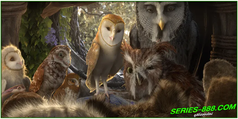 ดูหนังการ์ตูน Legend of the Guardians ดูหนังการ์ตูน Legend of the Guardians