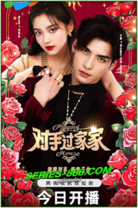 ดูซีรี่ย์ ข้ามมิติพิชิตรัก Playing House (2024) ซับไทย Ep.1-24 จบ