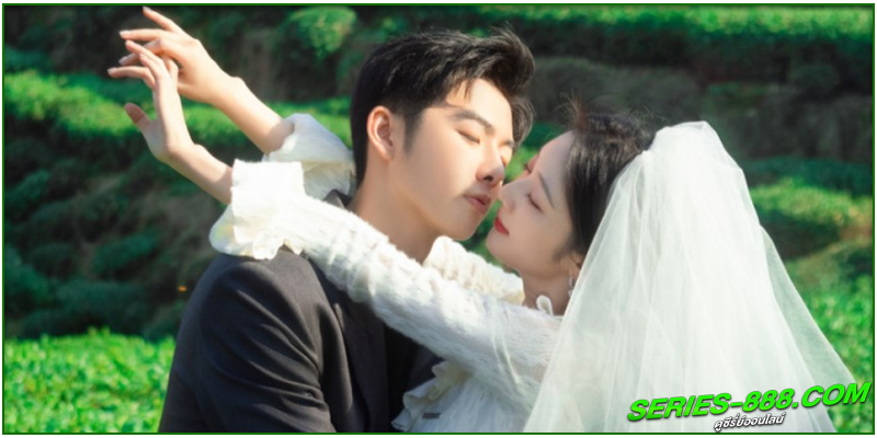 ดูซีรี่ย์ รักเกิดในสวนชา ดูซีรี่ย์ รักเกิดในสวนชา