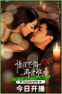 ดูซีรี่ย์ ปมรักในรอยแค้น Deep Love Love Again (2024) ซับไทย Ep.1-22 จบ