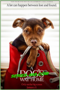 ดูหนัง เพื่อนรักผจญภัยสี่ร้อยไมล์ A Dog’s Way Home (2019) พากย์ไทย (เต็มเรื่อง)